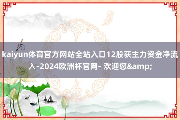 kaiyun体育官方网站全站入口12股获主力资金净流入-2024欧洲杯官网- 欢迎您&