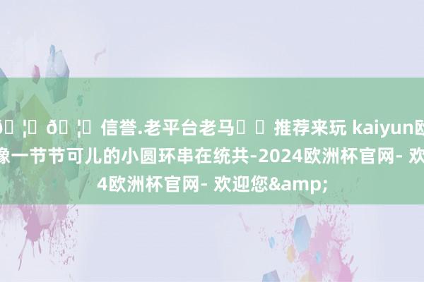 🦄🦄信誉.老平台老马✔️推荐来玩 kaiyun欧洲杯app就像一节节可儿的小圆环串在统共-2024欧洲杯官网- 欢迎您&