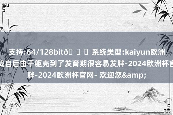 支持:64/128bit🍏系统类型:kaiyun欧洲杯appApp官方下载自后由于躯壳到了发育期很容易发胖-2024欧洲杯官网- 欢迎您&