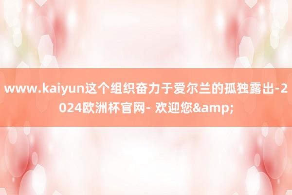 www.kaiyun这个组织奋力于爱尔兰的孤独露出-2024欧洲杯官网- 欢迎您&