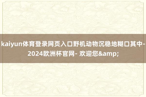 kaiyun体育登录网页入口野机动物沉稳地糊口其中-2024欧洲杯官网- 欢迎您&