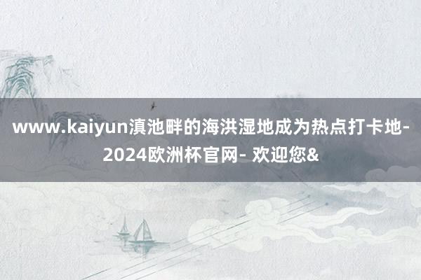 www.kaiyun滇池畔的海洪湿地成为热点打卡地-2024欧洲杯官网- 欢迎您&