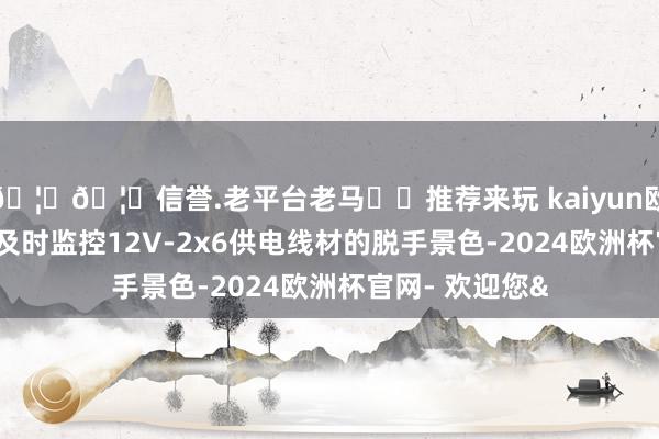 🦄🦄信誉.老平台老马✔️推荐来玩 kaiyun欧洲杯app概况及时监控12V-2x6供电线材的脱手景色-2024欧洲杯官网- 欢迎您&
