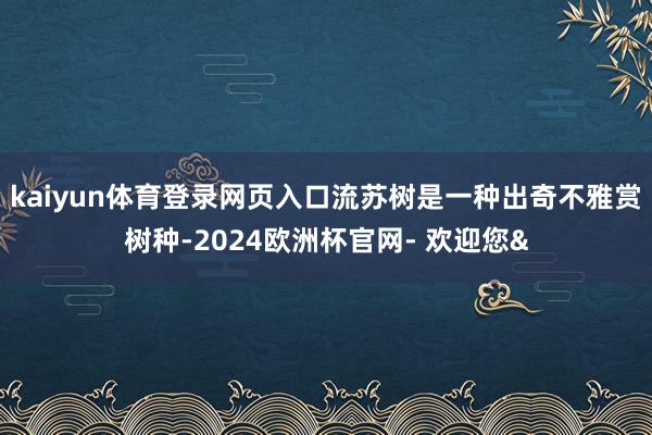 kaiyun体育登录网页入口流苏树是一种出奇不雅赏树种-2024欧洲杯官网- 欢迎您&