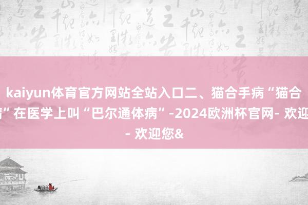 kaiyun体育官方网站全站入口二、猫合手病“猫合手病”在医学上叫“巴尔通体病”-2024欧洲杯官网- 欢迎您&