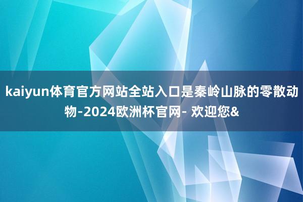 kaiyun体育官方网站全站入口是秦岭山脉的零散动物-2024欧洲杯官网- 欢迎您&