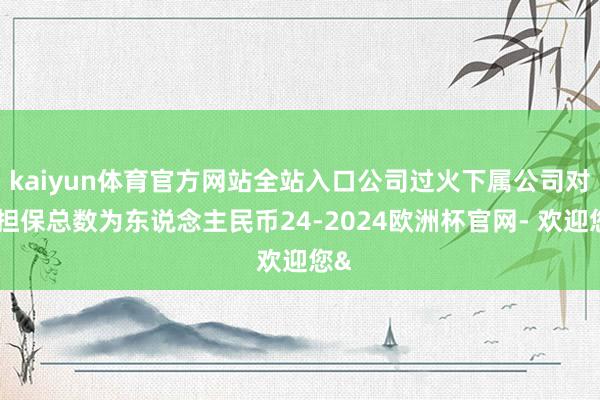 kaiyun体育官方网站全站入口公司过火下属公司对外担保总数为东说念主民币24-2024欧洲杯官网- 欢迎您&