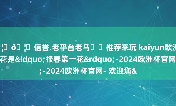 🦄🦄信誉.老平台老马✔️推荐来玩 kaiyun欧洲杯appr冰凌花是&ldquo;报春第一花&rdquo;-2024欧洲杯官网- 欢迎您&
