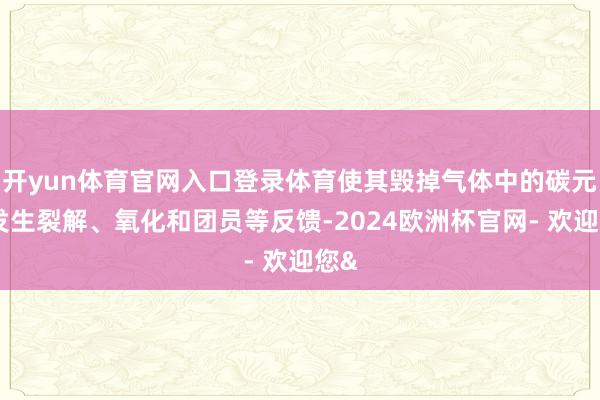开yun体育官网入口登录体育使其毁掉气体中的碳元素发生裂解、氧化和团员等反馈-2024欧洲杯官网- 欢迎您&