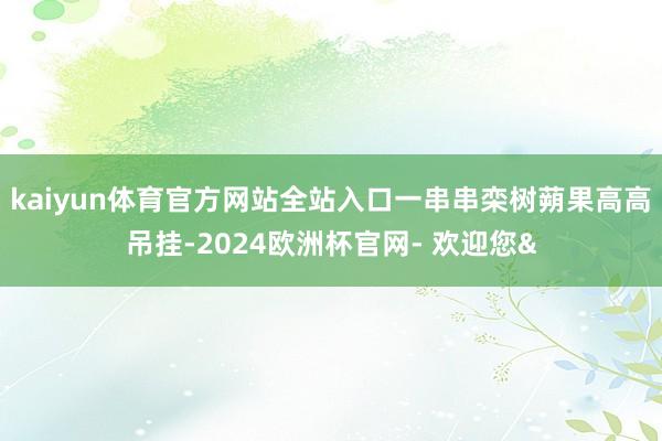 kaiyun体育官方网站全站入口一串串栾树蒴果高高吊挂-2024欧洲杯官网- 欢迎您&