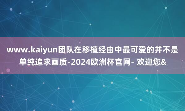 www.kaiyun团队在移植经由中最可爱的并不是单纯追求画质-2024欧洲杯官网- 欢迎您&