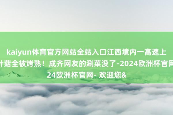 kaiyun体育官方网站全站入口江西境内一高速上，10吨金针菇全被烤熟！成齐网友的涮菜没了-2024欧洲杯官网- 欢迎您&