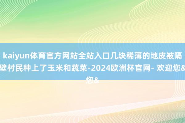 kaiyun体育官方网站全站入口几块稀薄的地皮被隔壁村民种上了玉米和蔬菜-2024欧洲杯官网- 欢迎您&